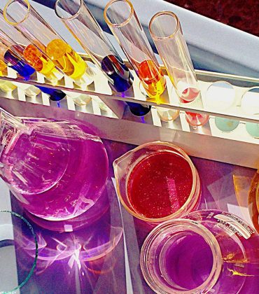 liceo scientifico percorso biomedico roma